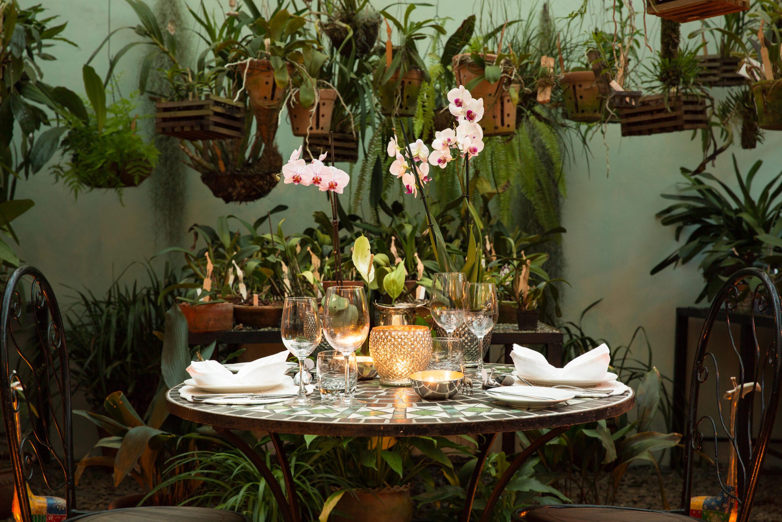 dining_in_the_orchid_house