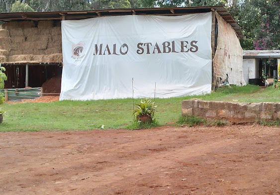 malo_stables_1