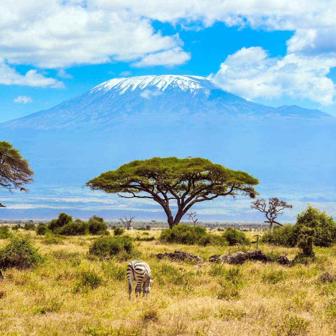 Tour Package: Adventure Vacation (Kenya)